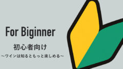 初心者🔰