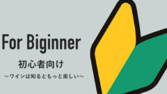 初心者🔰